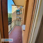 Rent 3 bedroom apartment of 75 m² in Bologna