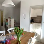 Rent 1 bedroom apartment in Leuven