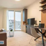 Rent 1 bedroom apartment of 28 m² in Milan