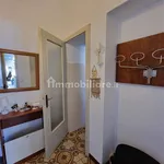 Rent 2 bedroom apartment of 45 m² in Pavia