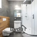 Pronájem bytu 2+1 45m²