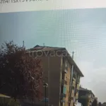 Appartamento in in affitto da privato a Ponte San Pietro via Raffaello Sanzio, 5, arredato, box, terrazzo - TrovaCasa