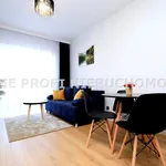 Rent 2 bedroom apartment of 40 m² in Rzeszów