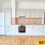 Rent 4 bedroom apartment of 106 m² in Znojmo