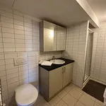 Huur 1 slaapkamer appartement van 61 m² in Alsemberg