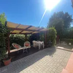 Rent 3 bedroom apartment of 100 m² in Pisa