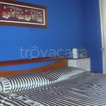 Rent 2 bedroom apartment of 50 m² in Verona