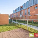 Pronajměte si 10 ložnic/e byt o rozloze 38 m² v Prague