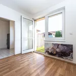 Rent 1 bedroom apartment in Horoměřice