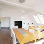 Rent 4 bedroom apartment of 211 m² in celadna