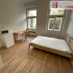 Rent 1 bedroom apartment in Capital City of Prague