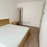 Rent 2 bedroom apartment in Praha 4