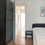 Rent 1 bedroom apartment in Berlin