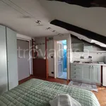 Rent 1 bedroom apartment of 38 m² in Torino