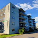 Rent 1 bedroom apartment in Kingston