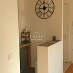 Rent 3 bedroom apartment of 55 m² in Grad Rijeka