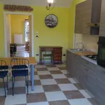 Rent 2 bedroom apartment of 40 m² in Torino