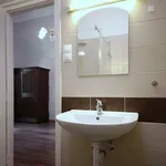 Rent 1 bedroom apartment of 25 m² in Budapest