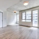  appartement avec 1 chambre(s) en location à Montreal