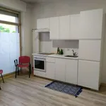 Rent 2 bedroom apartment of 90 m² in Turin