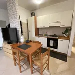 Rent 1 bedroom apartment of 35 m² in Rome