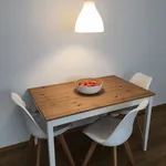 Rent 1 bedroom apartment of 50 m² in Nuremberg