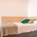 Rent a room in madrid