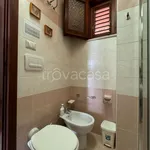 Rent 3 bedroom apartment of 110 m² in Scilla