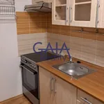 Rent 1 bedroom apartment in Kyjov