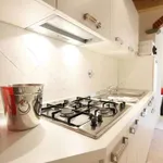 Rent 1 bedroom apartment in florence