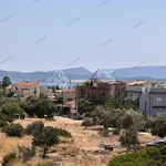 Στούντιο σε Agios Nikolaos Municipal Unit