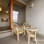 Rent 1 bedroom apartment in Praha 4