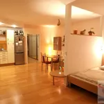 Rent 1 bedroom apartment in Capital City of Prague