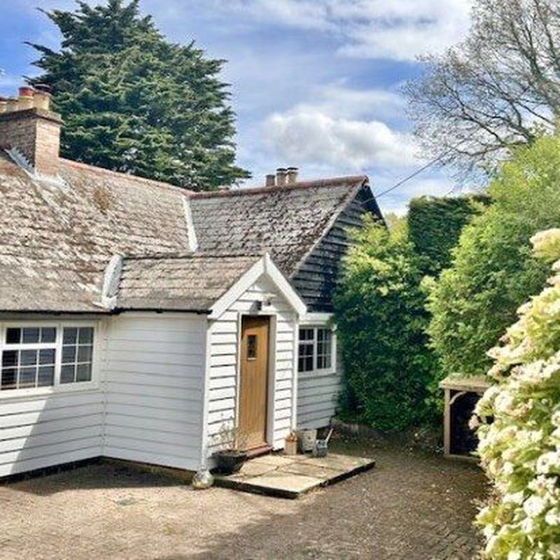 Cottage to rent in Bardown Road, Stonegate, Wadhurst TN5