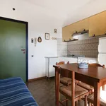 Rent 3 bedroom apartment of 40 m² in Follonica