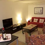 Rent 1 bedroom apartment of 48 m² in Bordeaux