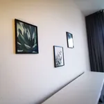 Rent 2 bedroom apartment of 635 m² in Berlin