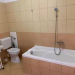 Rent 1 bedroom apartment of 40 m² in Nyíregyháza