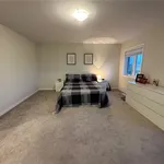 Rent 4 bedroom apartment in Brantford