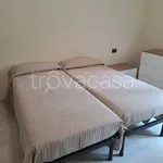 Rent 3 bedroom apartment of 80 m² in Torino