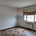 Affitto 7 camera appartamento di 130 m² in Palermo