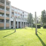 Rent 2 bedroom apartment of 71 m² in De Wijert