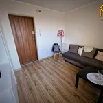 Rent 1 bedroom apartment of 17 m² in Tarnów