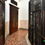 Rent 3 bedroom apartment of 80 m² in Milano