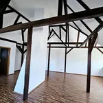 Großzügige Studiowohnung mit hohen Decken & Kaminanschluss