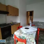 Rent 2 bedroom apartment of 50 m² in Turin