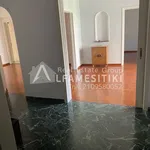 Rent 4 bedroom apartment of 136 m² in Athina Kentro Plateia Amerikis