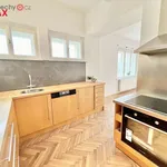 Rent 4 bedroom apartment of 90 m² in Praha