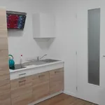 Rent 1 bedroom apartment of 35 m² in Brno