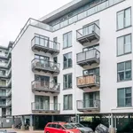 Rent 2 bedroom apartment in london